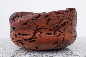 Schale aus altem Kirschenholz – von der Natur modeliert, 15 x 8,5 cm